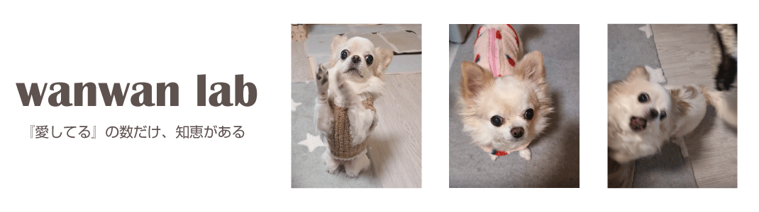 ワンワンラボ